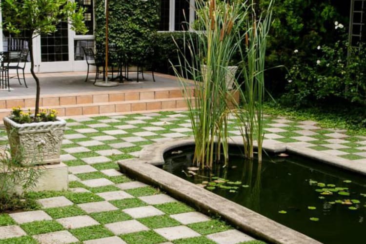 Garden and patio